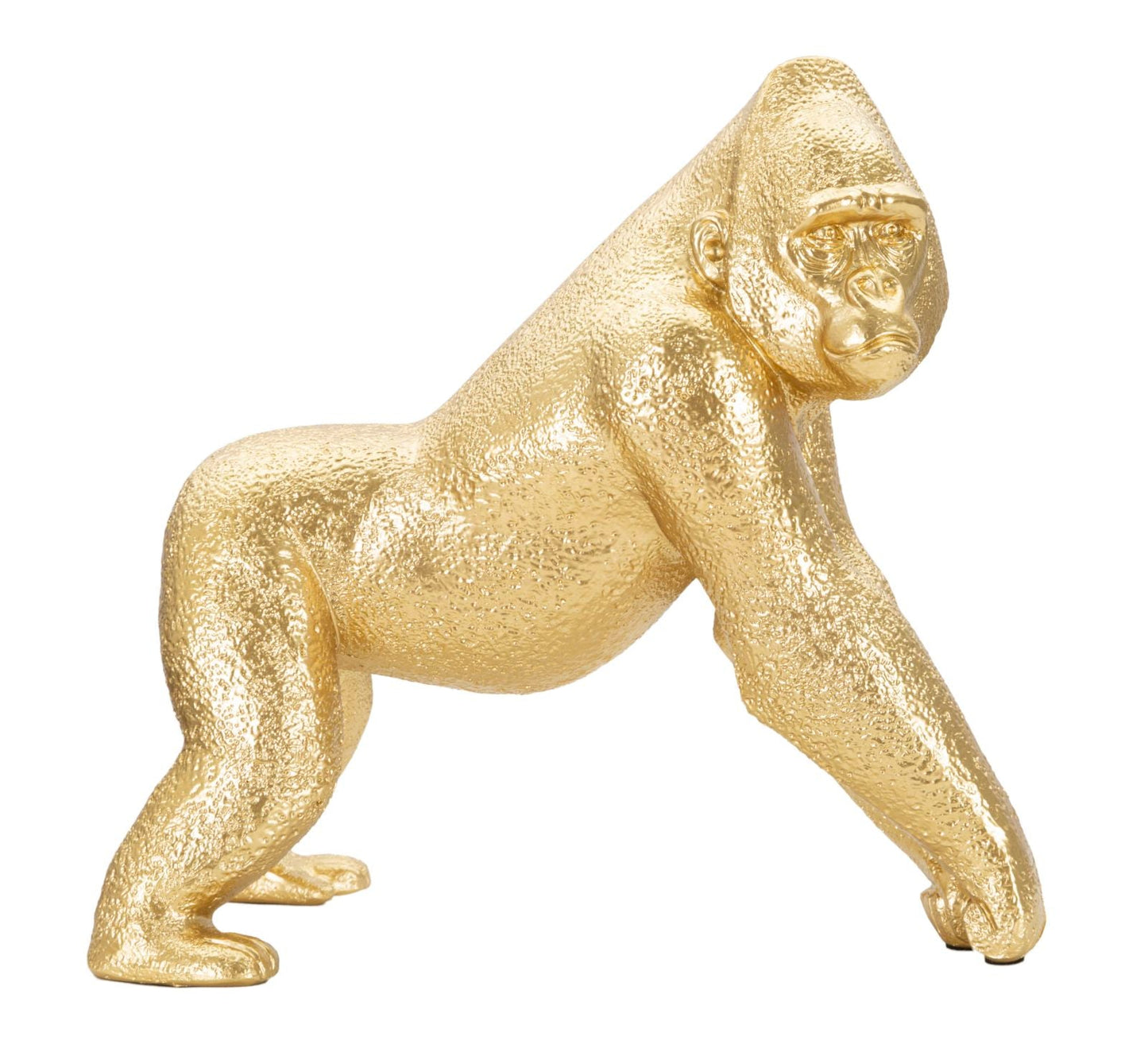 Golden Side Gorilla