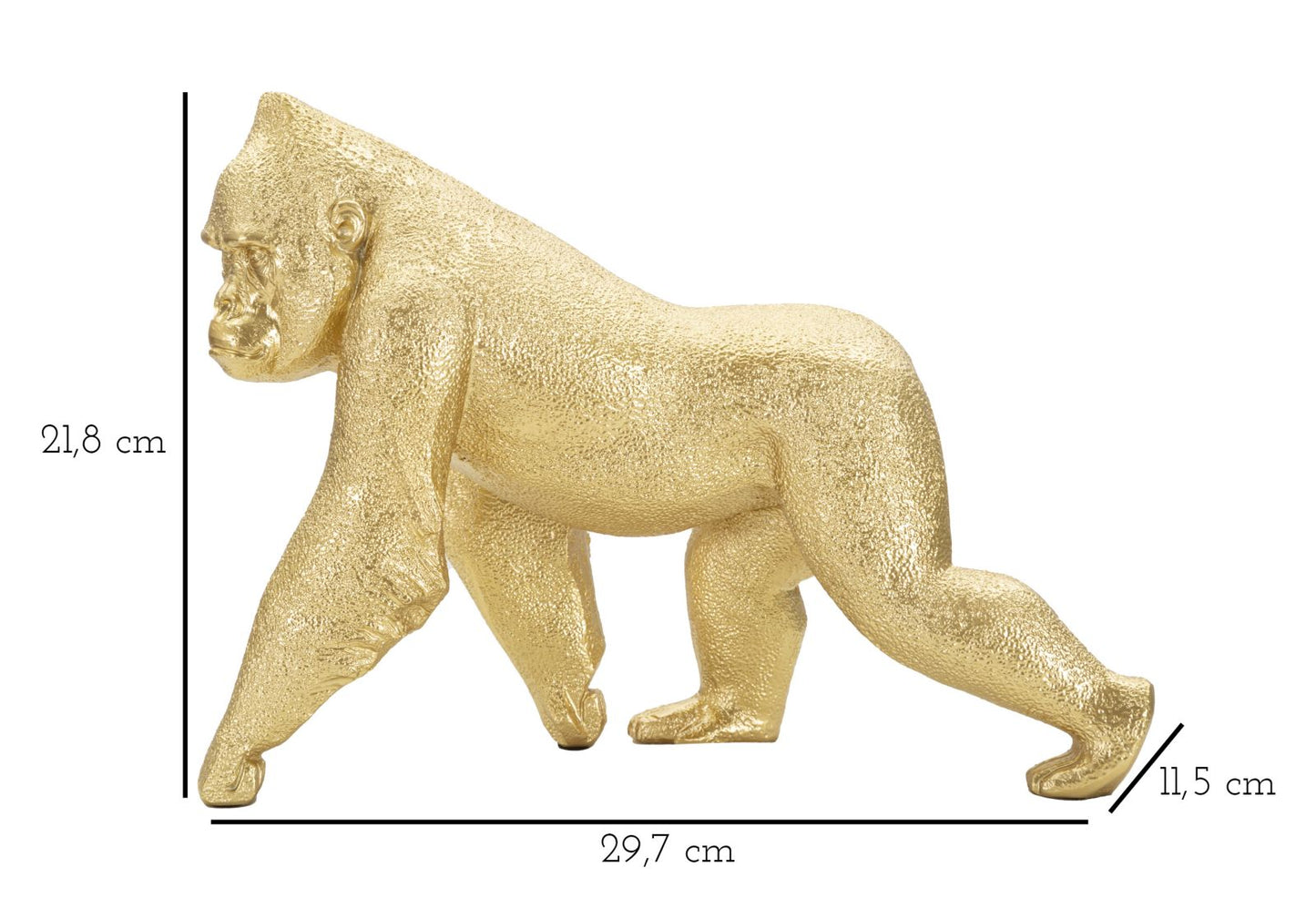 Golden Front Gorilla