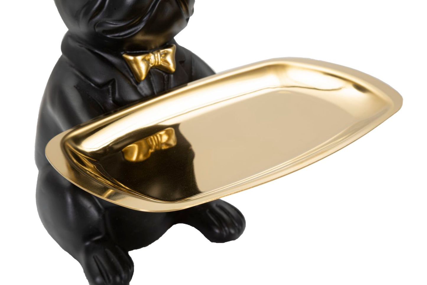 Bull Dog Zwart Goud