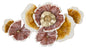 Floral Radiance Wanddecoratie Metaal 92,1x51,4 cm