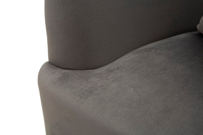 Fauteuil Silvery Kussen Grijs Velours Zilveren Poten